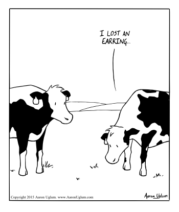 Been Winter - Cow Concerns